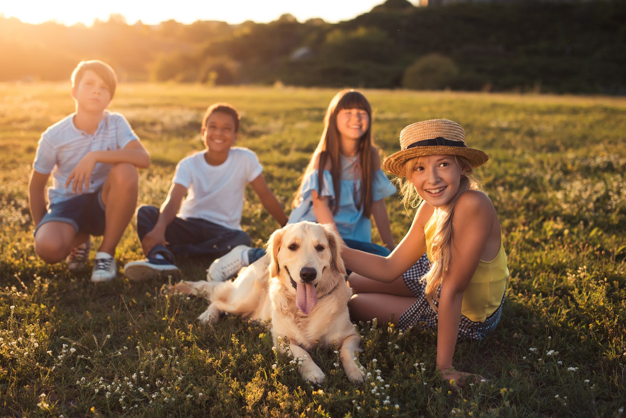 A group of teenagers relax with a cute golden retriever doggo on a sunlit green field