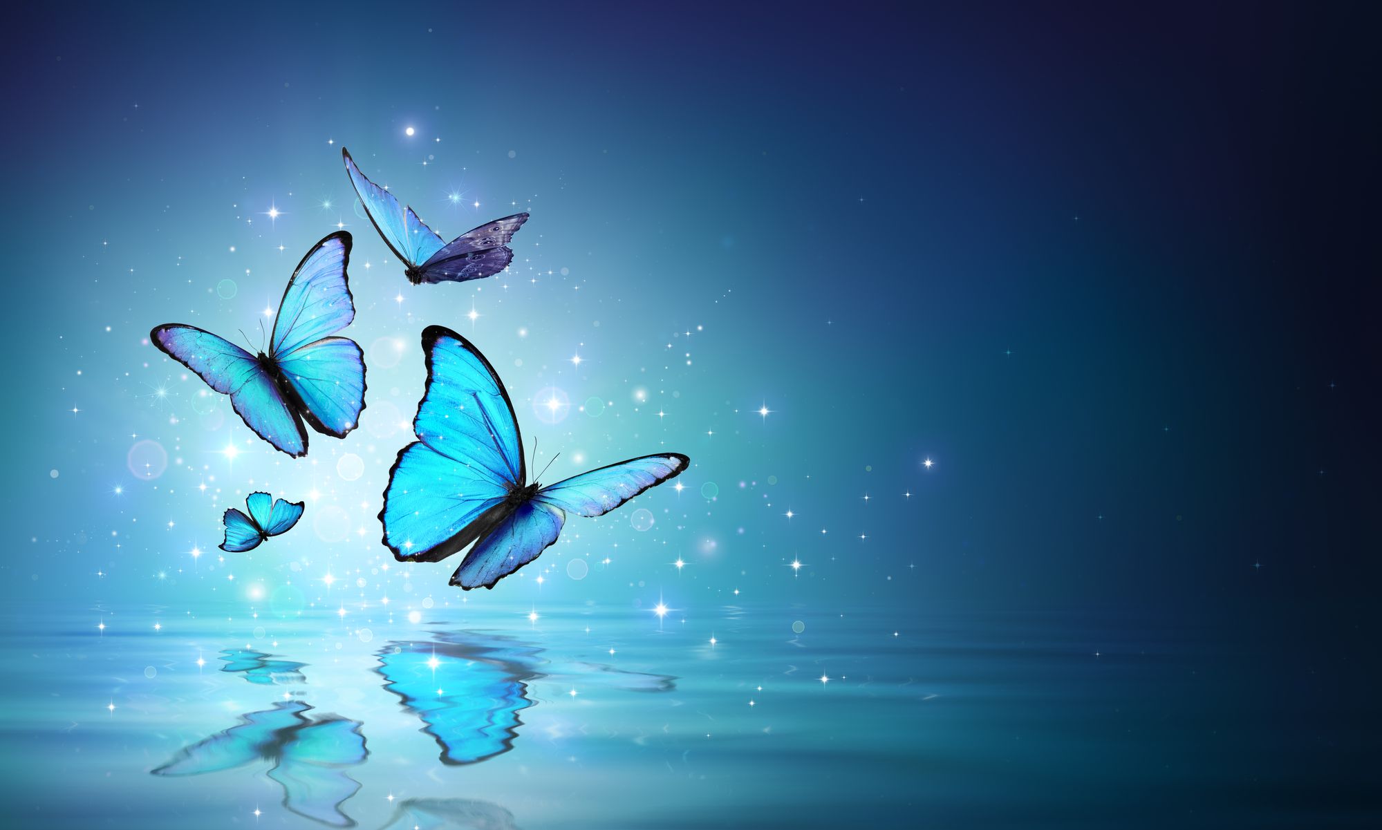 Beautiful blue butterflies in a sparkling blue magical place