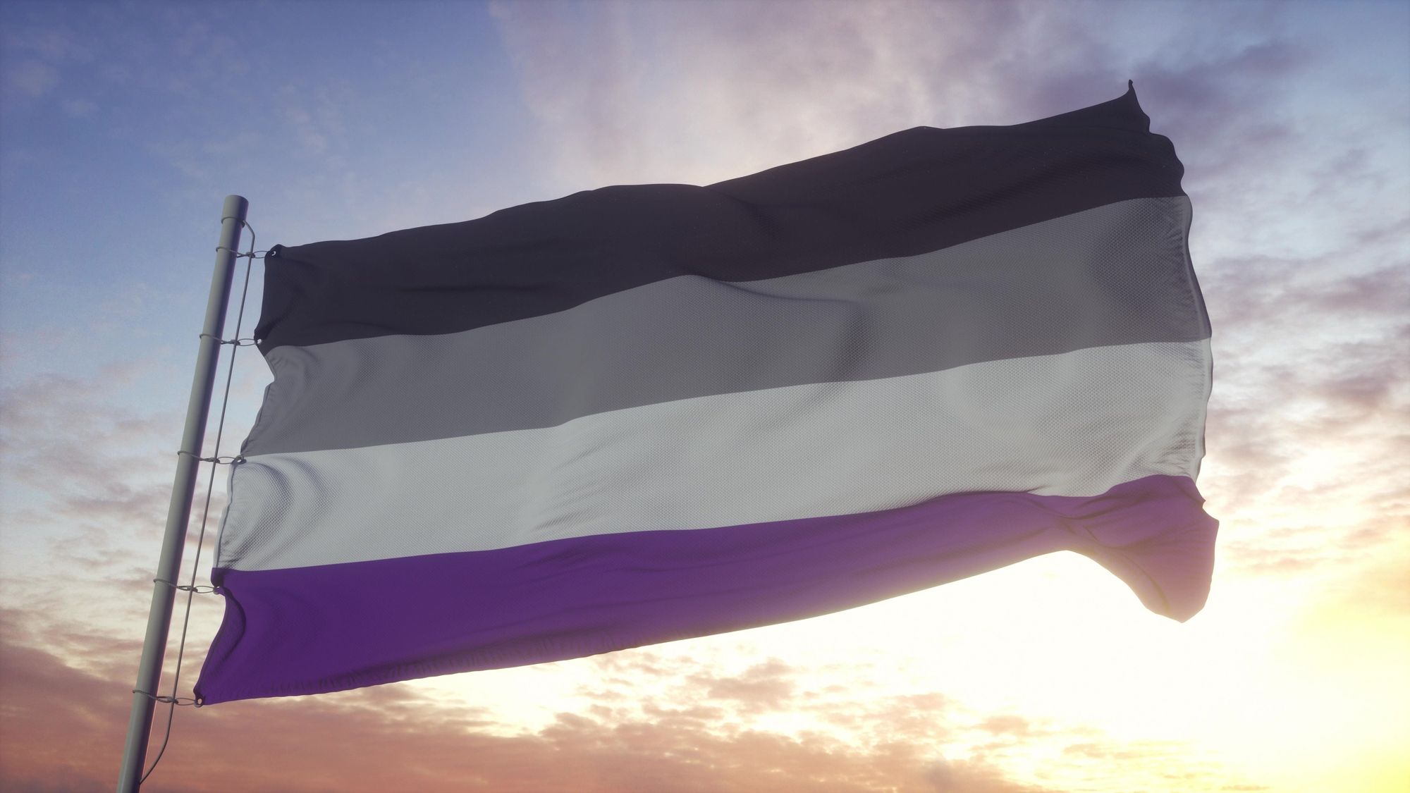 A flag fluttering in the wind against a sunny, dynamic sky. The flag has 4 horizontal stripes. The top stripe is black, followed by grey, white, and lastly, purple at the bottom.