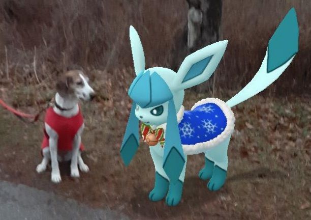 My friend's dog stares at a Glaceon in the park.