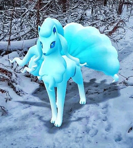 On a snowy path with trees in the background, there stands a gorgeous Alolan Ninetales.