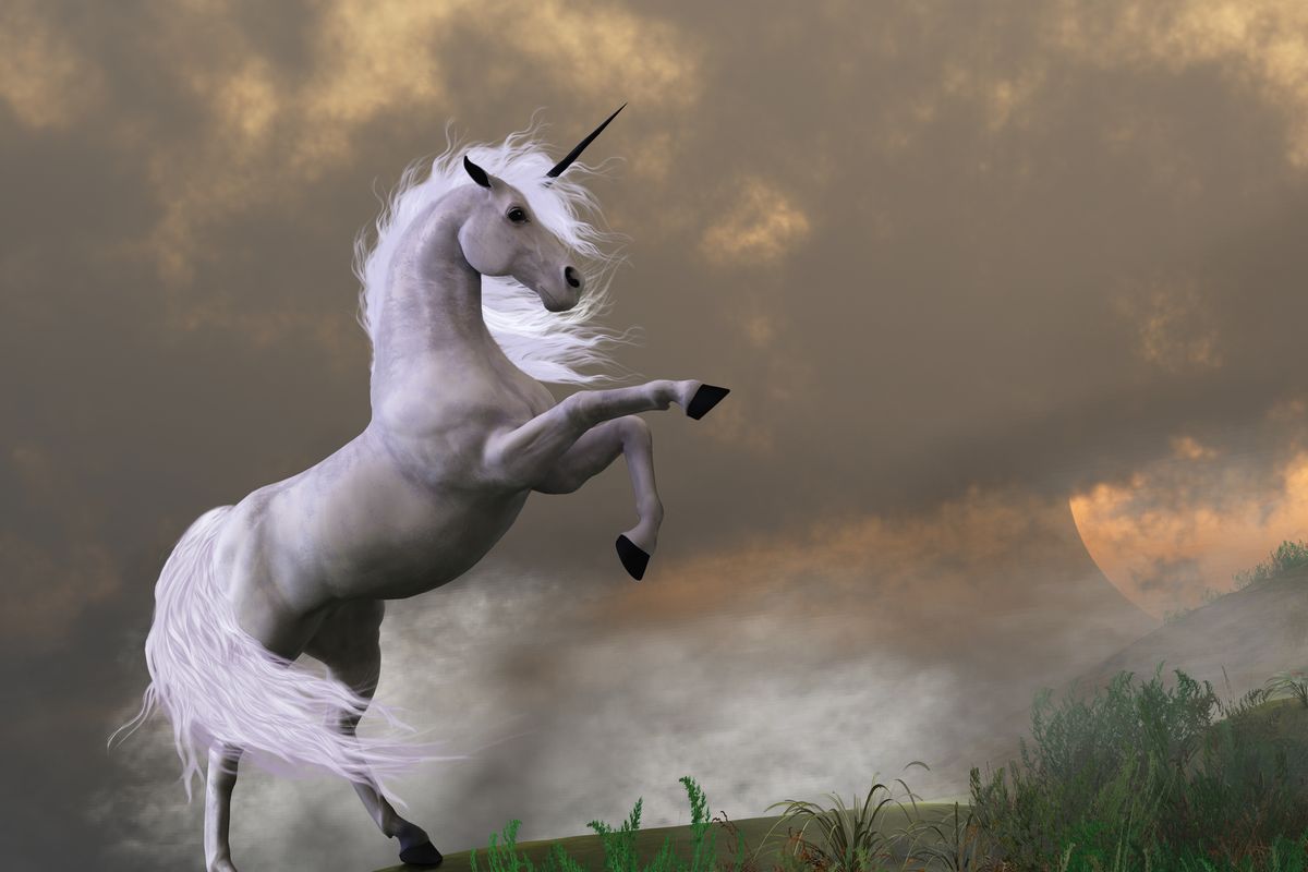 Gorgeous silver unicorn rearing up, with a dramatic misty sky.