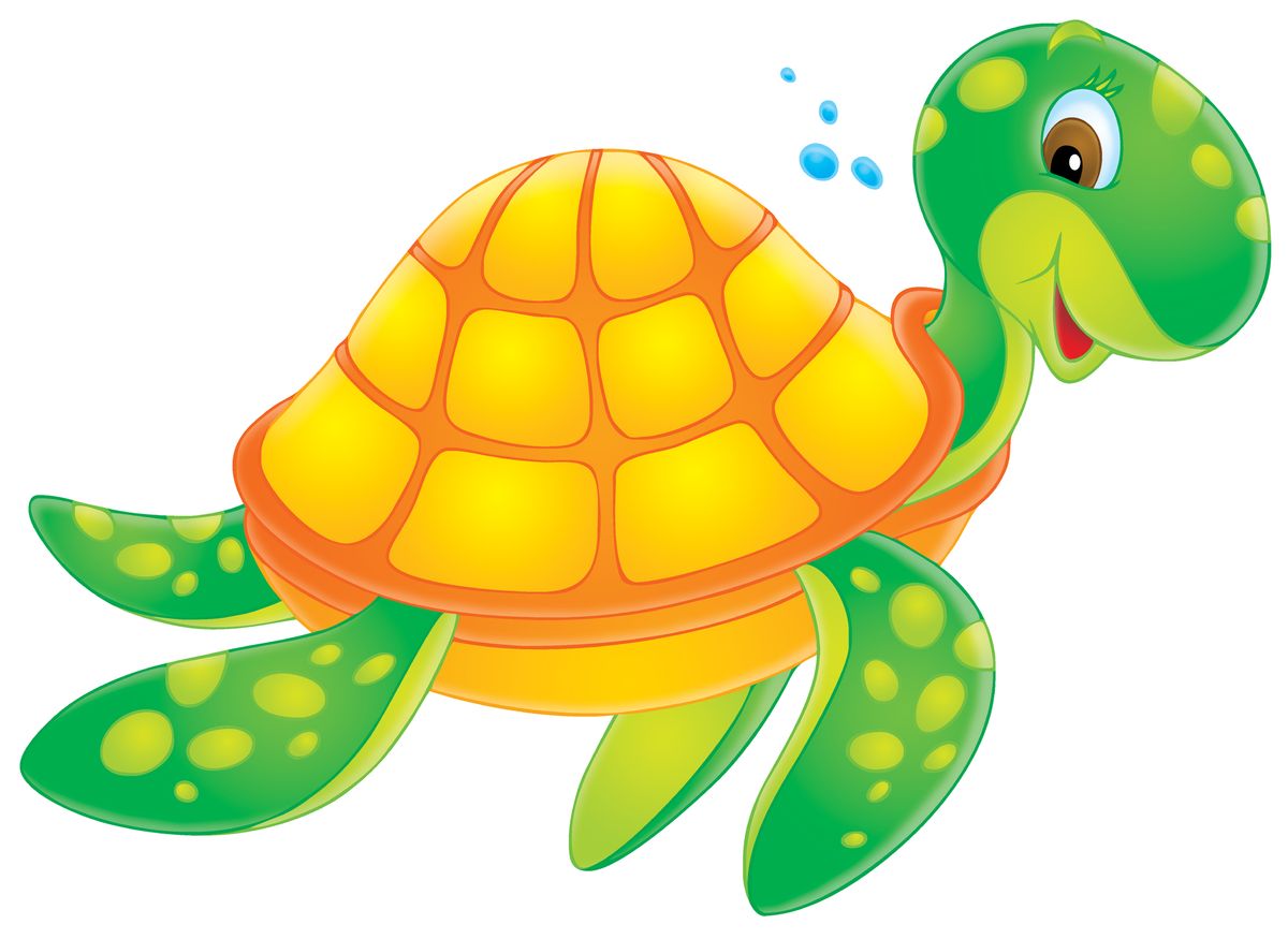 An adorable cartoon illustration of a tortoise, swimming through water happily.