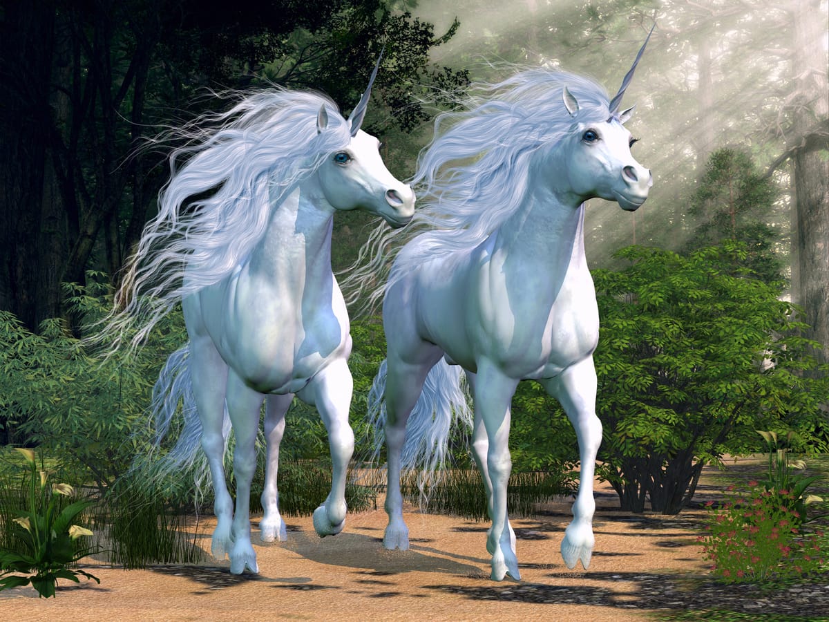 Two gorgeous white unicorns staring upwards