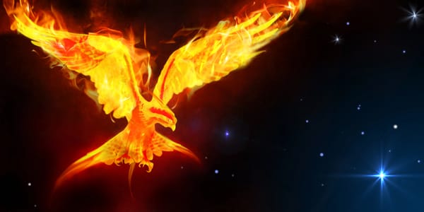 A fire bird in the dark sky